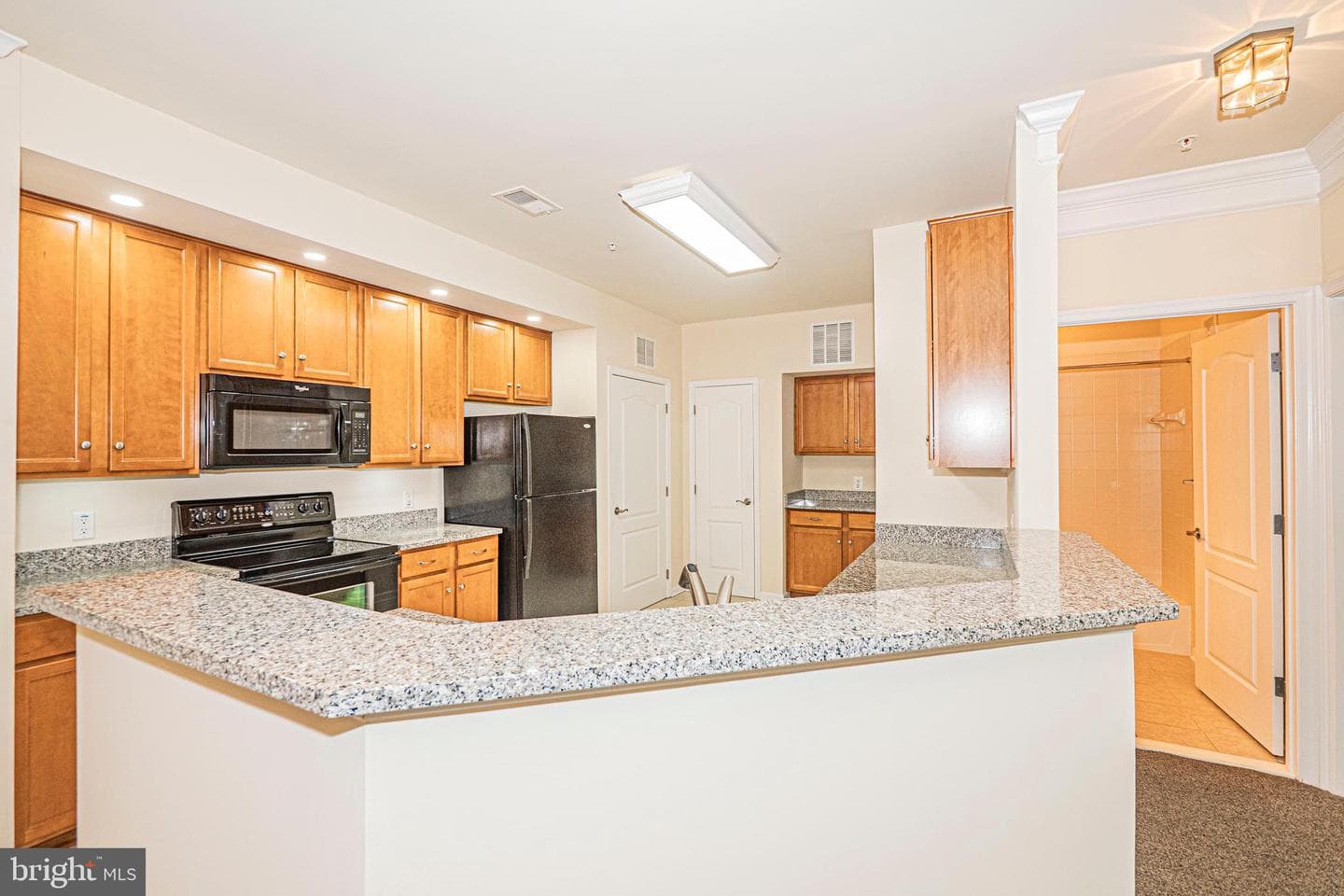 1405 Wigeon Way #206 photo 3