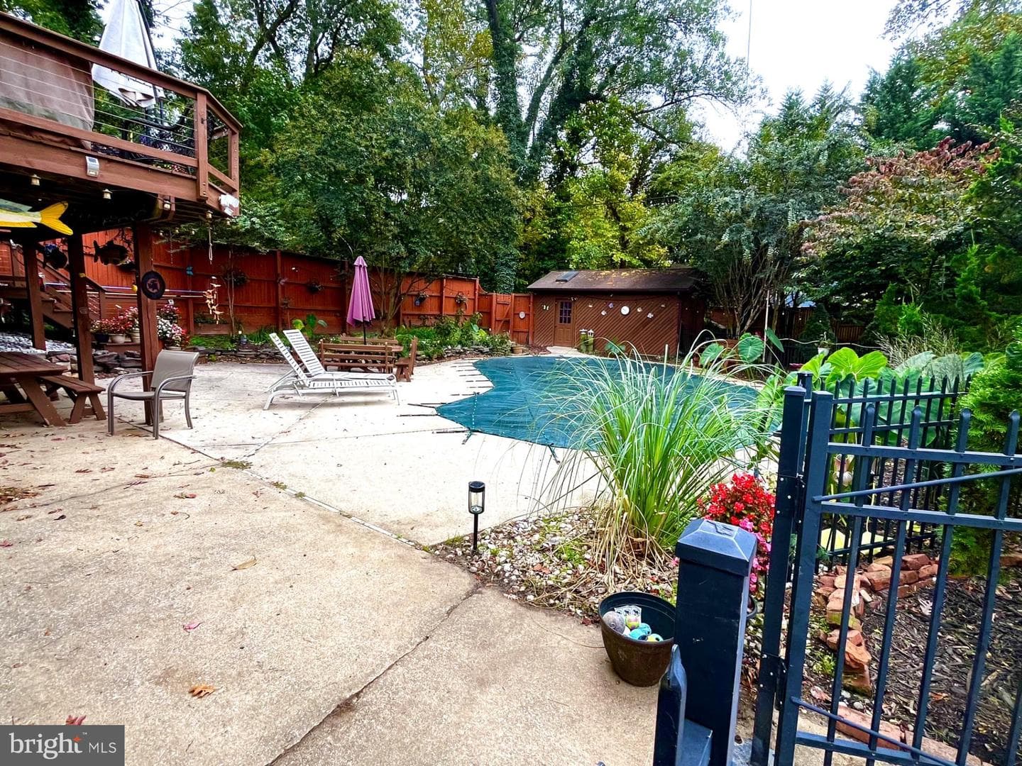 443 W Maple Road photo 6