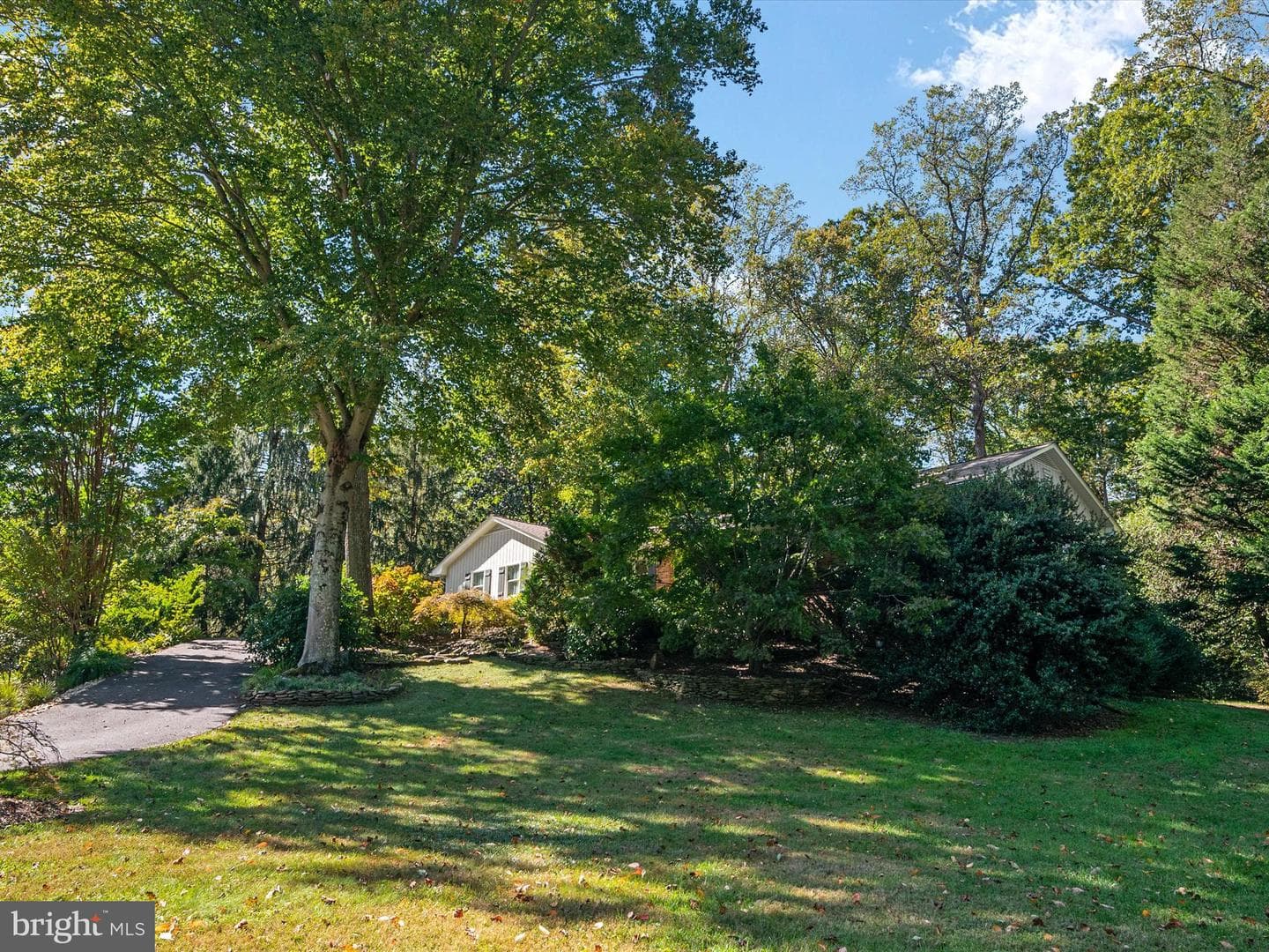 1676 Saint Albans Square photo 4