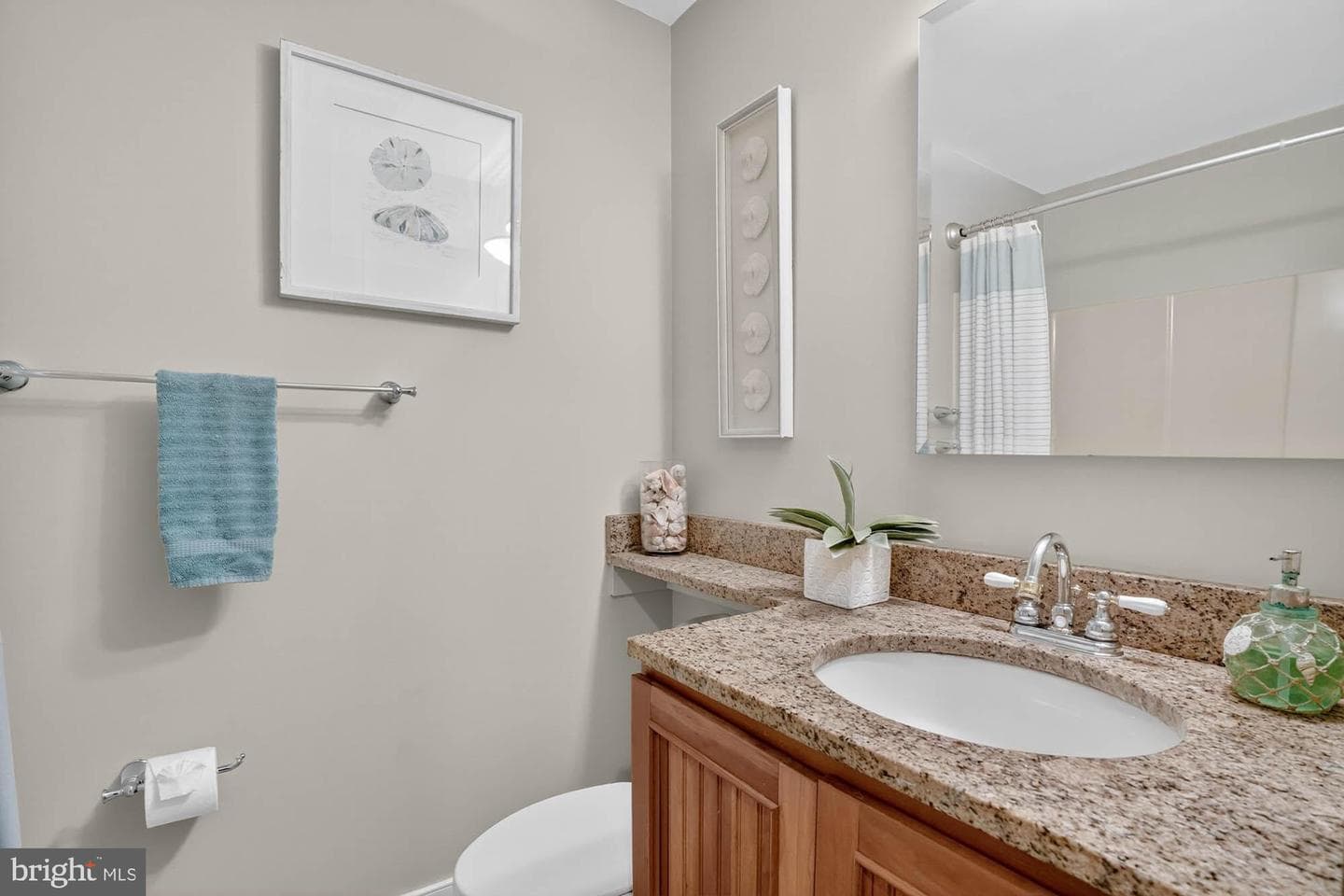 215 Chester Avenue photo 13