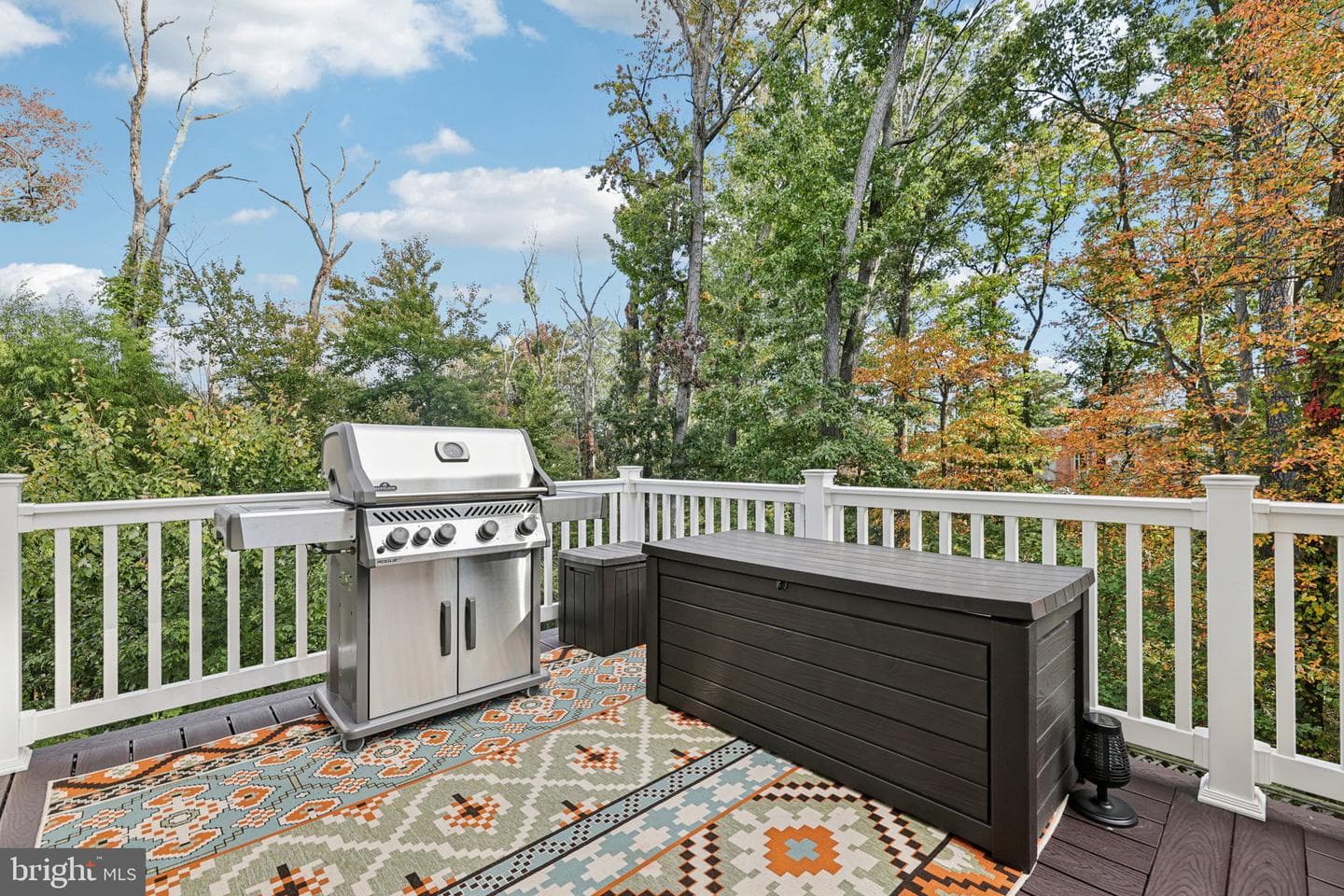 251 Oakview Village Drive photo 25