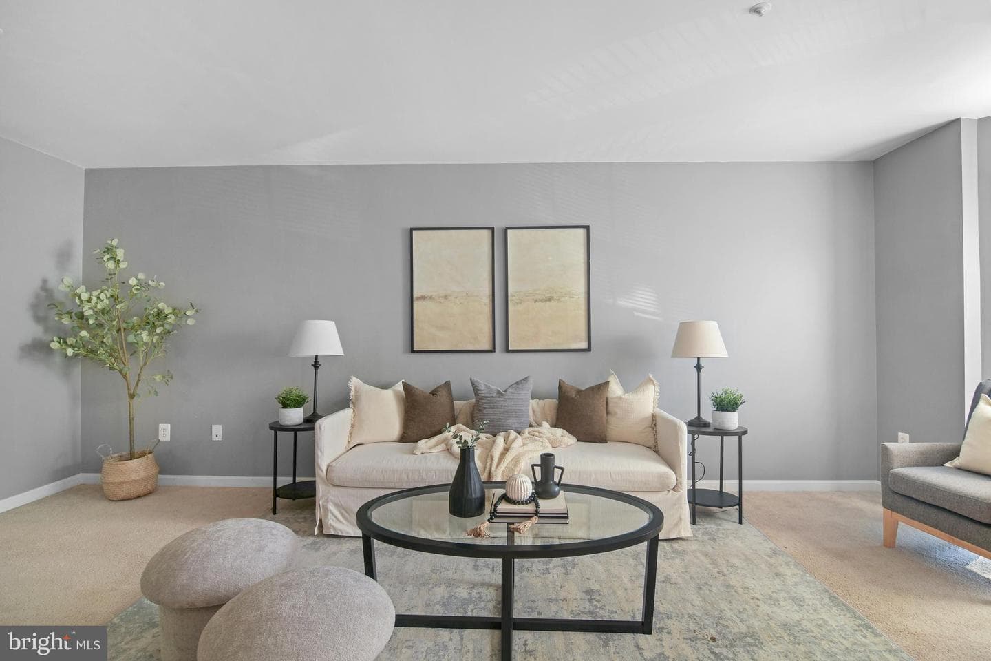 2020 Puritan Terrace photo 4