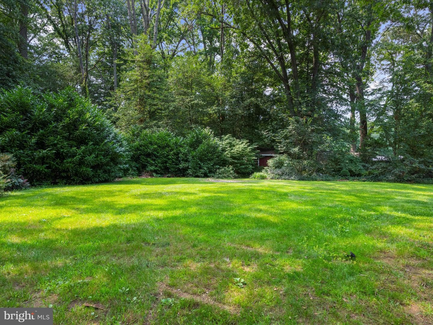 8230 Olney Court photo 36