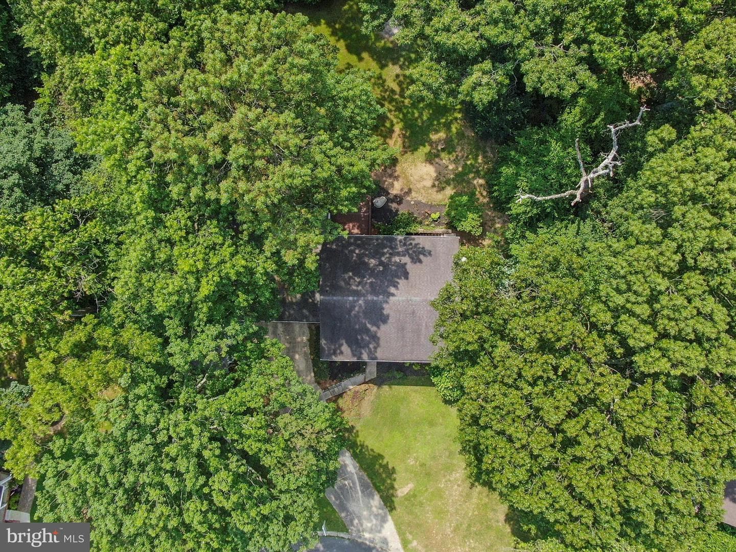 8230 Olney Court photo 42
