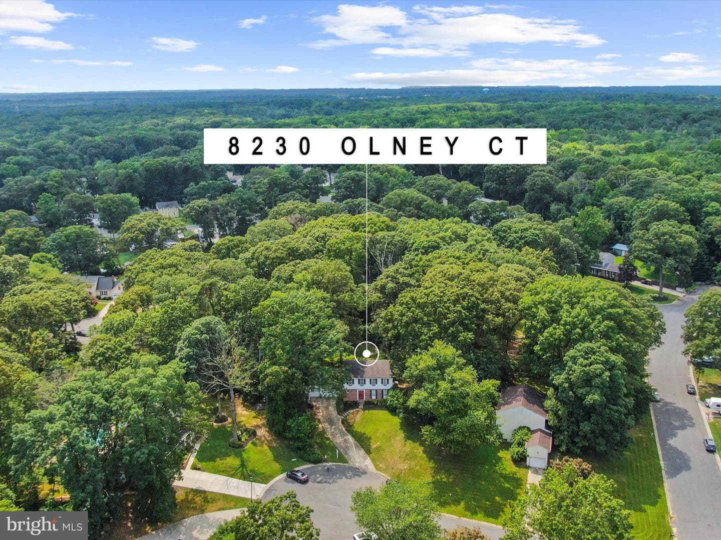 8230 Olney Court photo 47