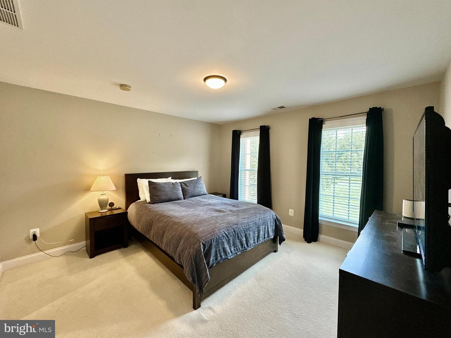 513 Broad Stream Lane photo 47