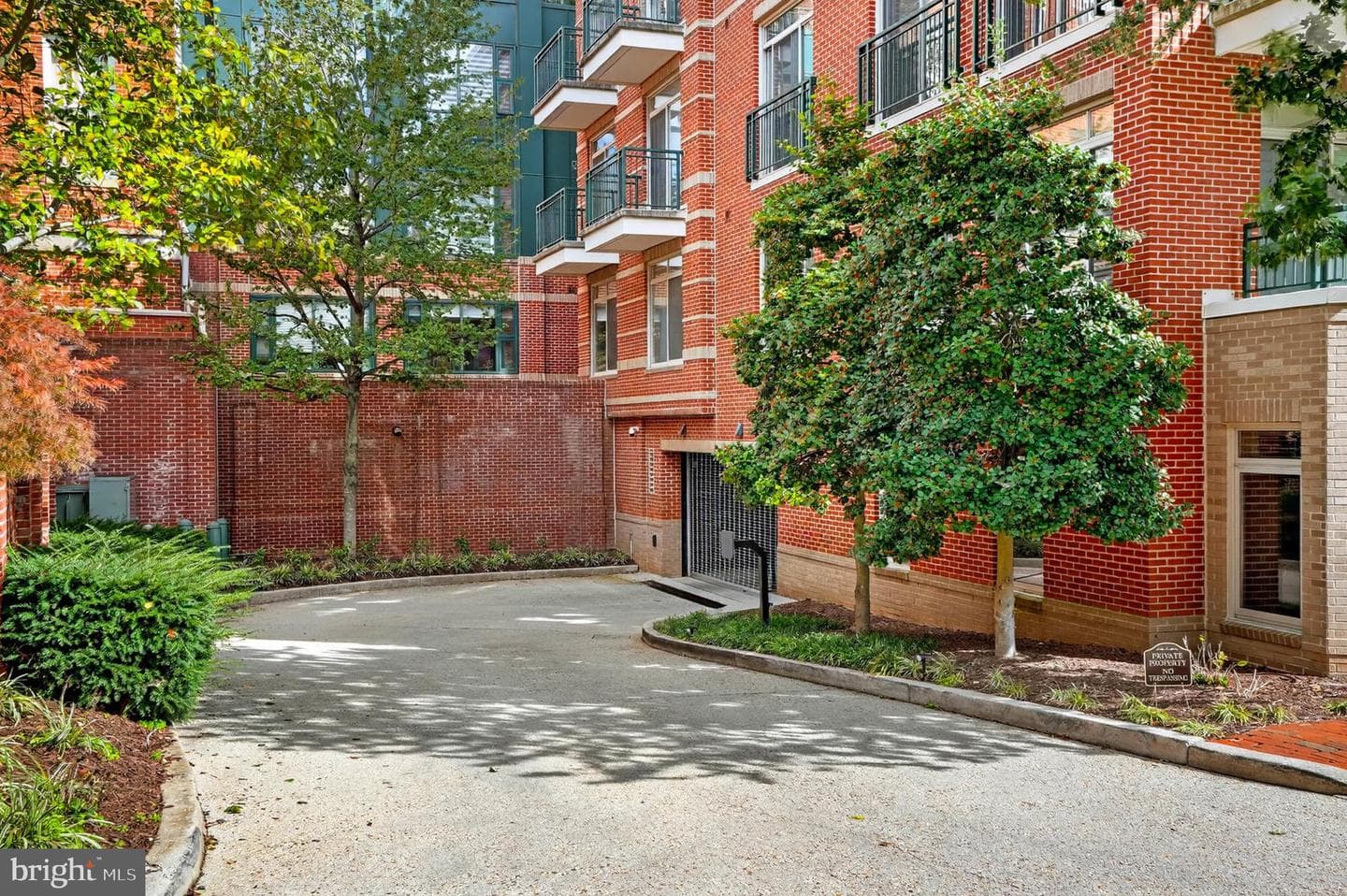 66 Franklin Street #101 photo 4