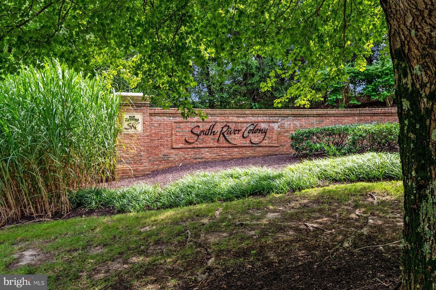 223 Galewood Drive photo 44
