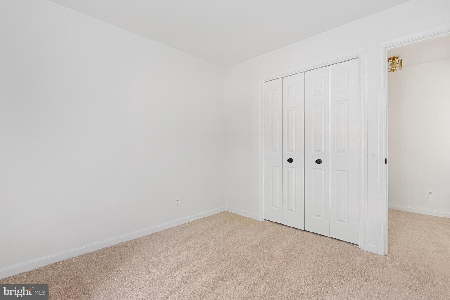 3615 Chase Hills Drive photo 58
