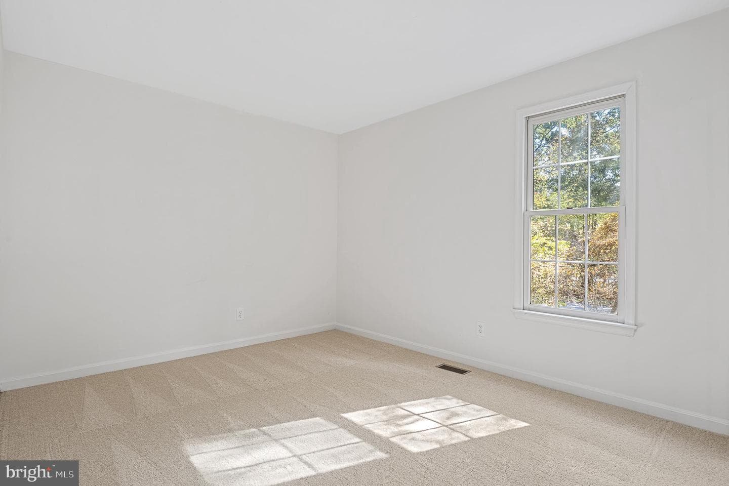 3615 Chase Hills Drive photo 59