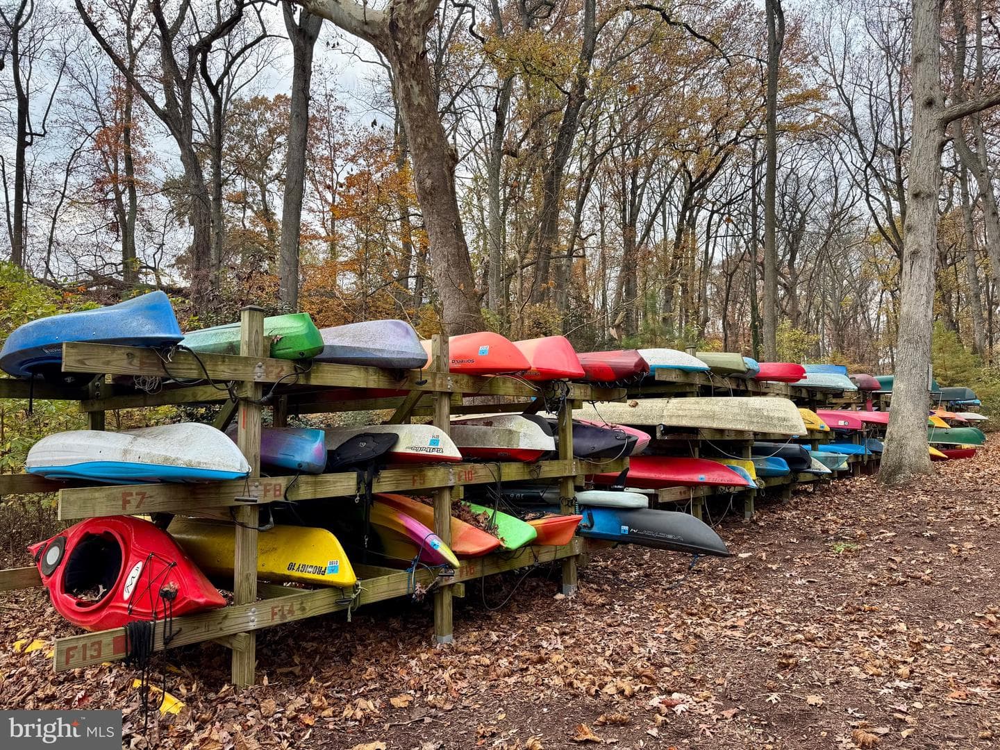 201 Autumn Chase Drive photo 59