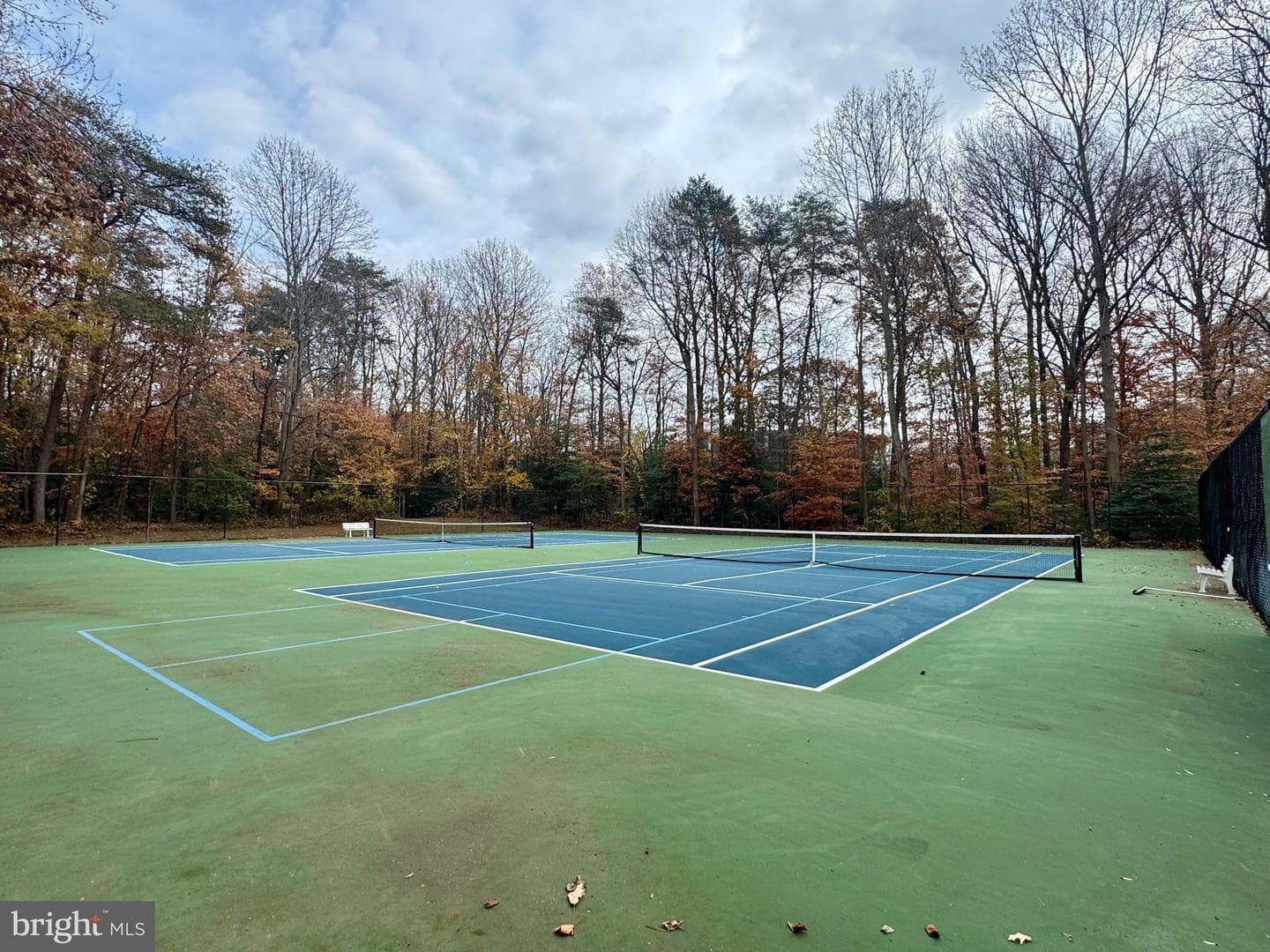 201 Autumn Chase Drive photo 65