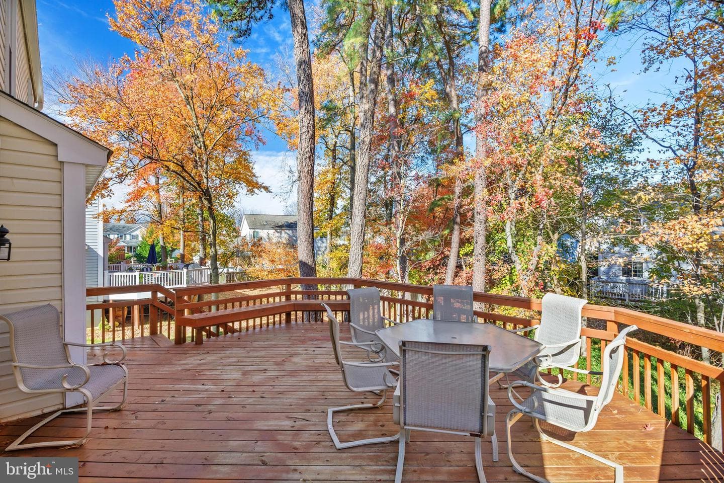7806 Golden Pine Circle photo 43