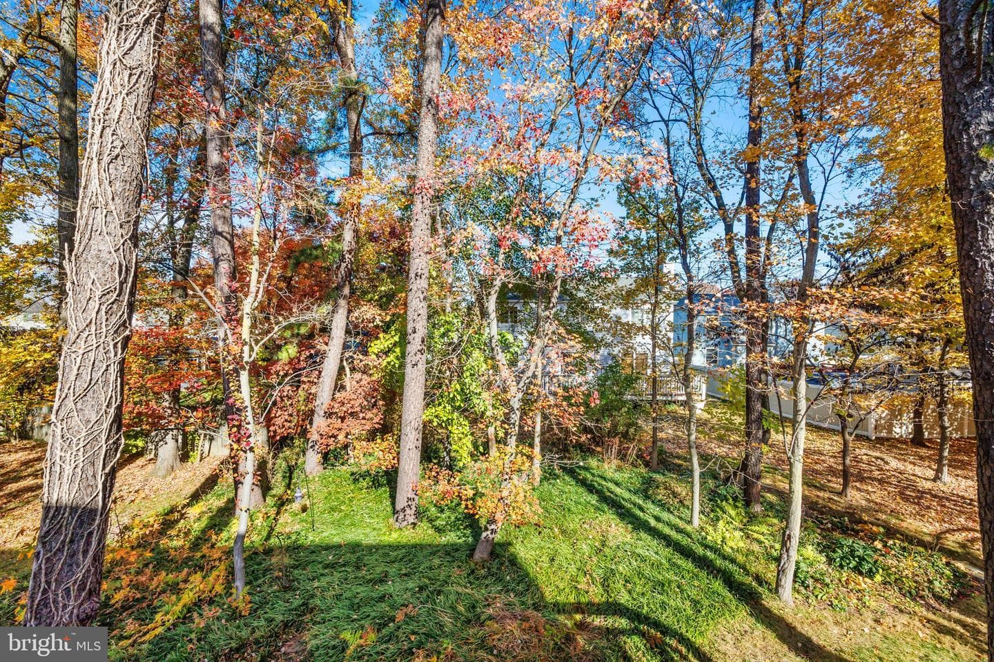 7806 Golden Pine Circle photo 44