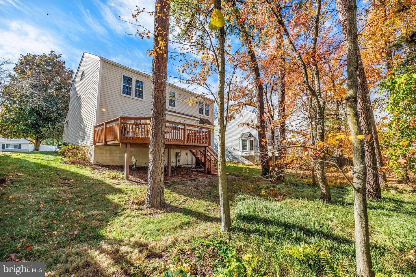 7806 Golden Pine Circle photo 47