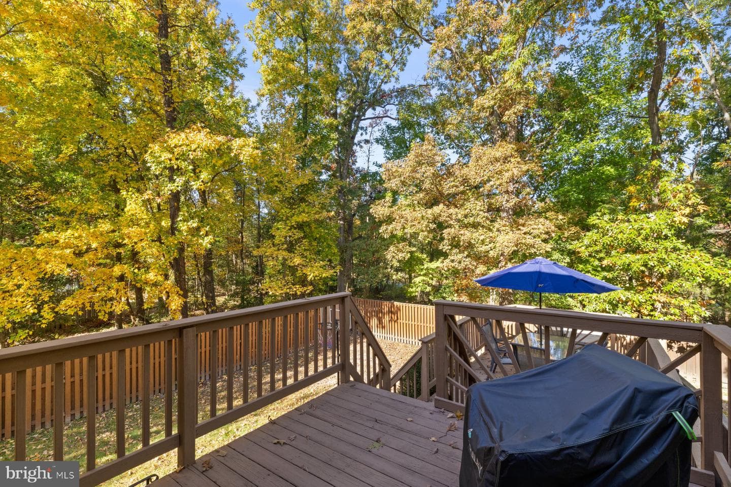 1014 Chestnut Haven Court photo 33