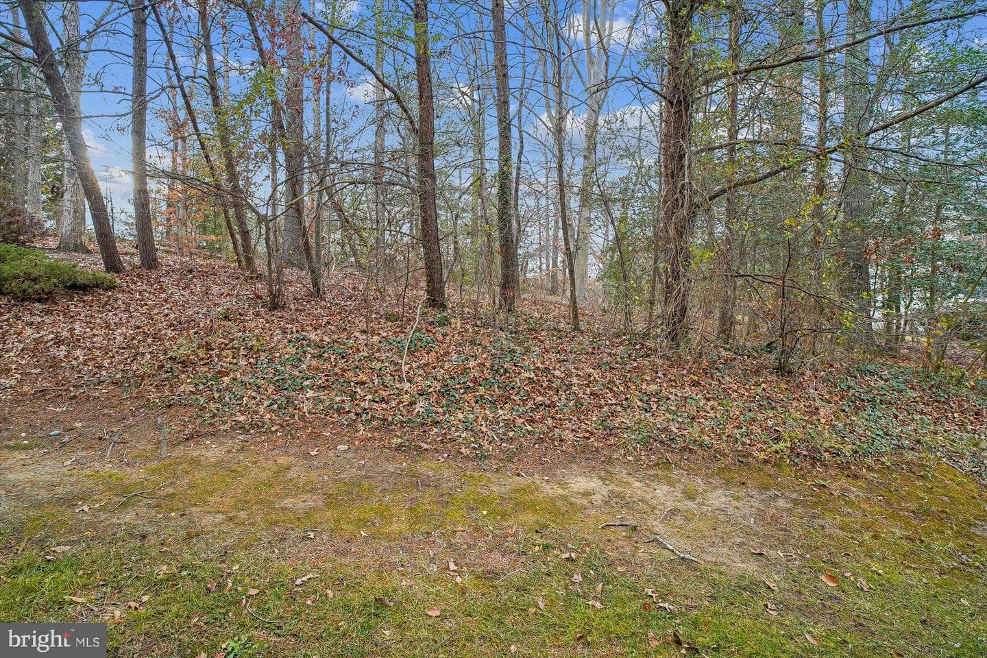3232 Escapade Circle photo 31