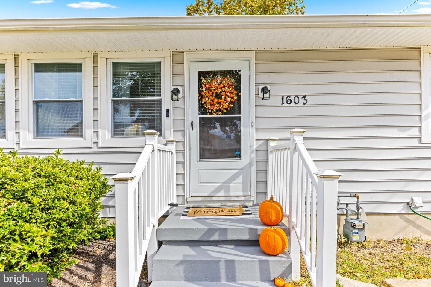 1603 Sunshine Street photo 2