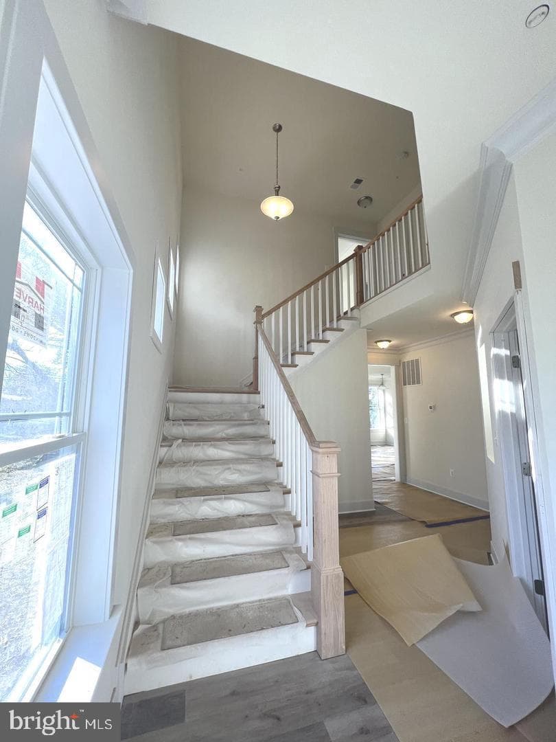 1217 Hampton Road photo 19