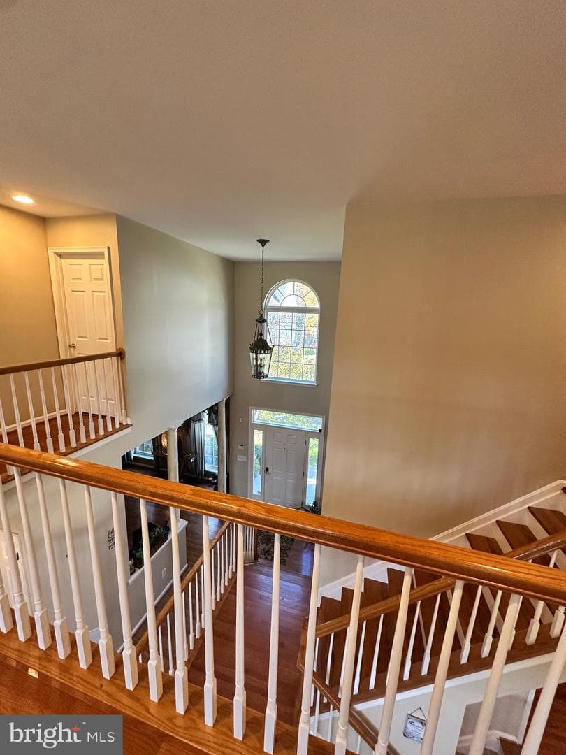 8209 Whitebark Lane photo 16