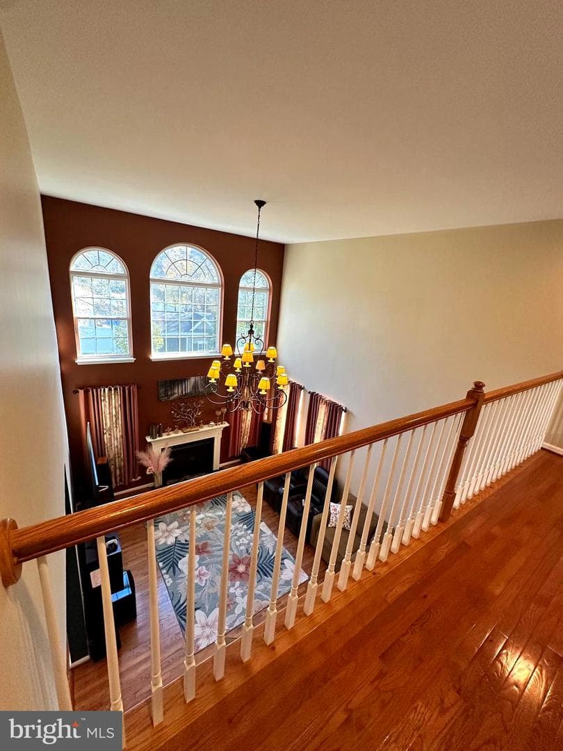 8209 Whitebark Lane photo 17