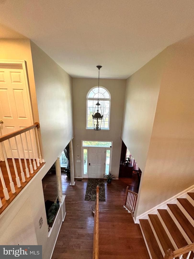8209 Whitebark Lane photo 3