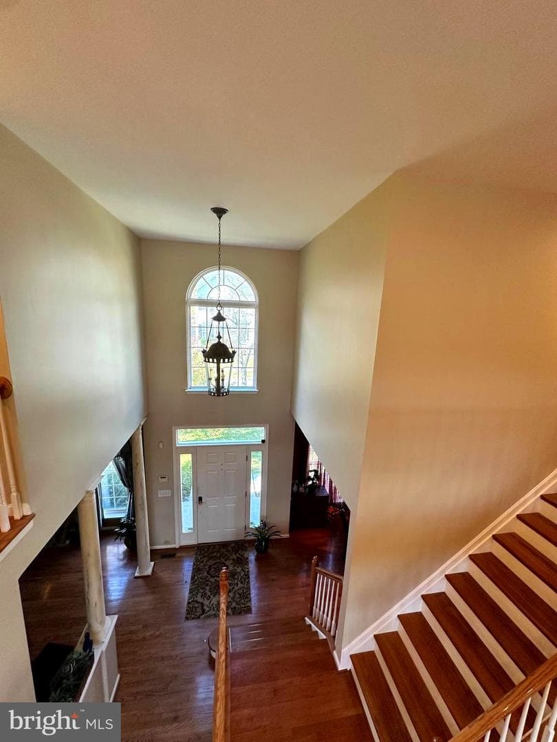 8209 Whitebark Lane photo 4