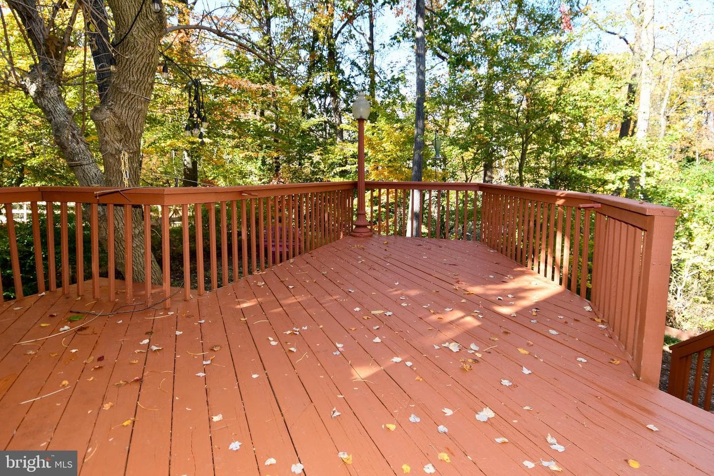 39 Windwhisper Lane photo 10