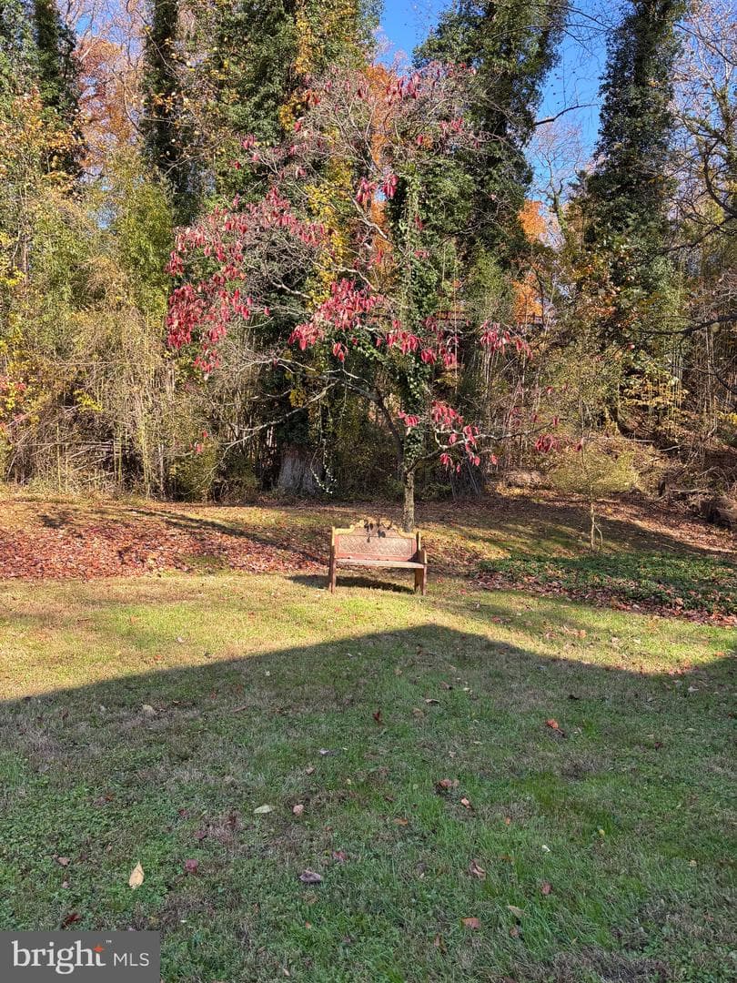 1635 Winchester Road photo 18