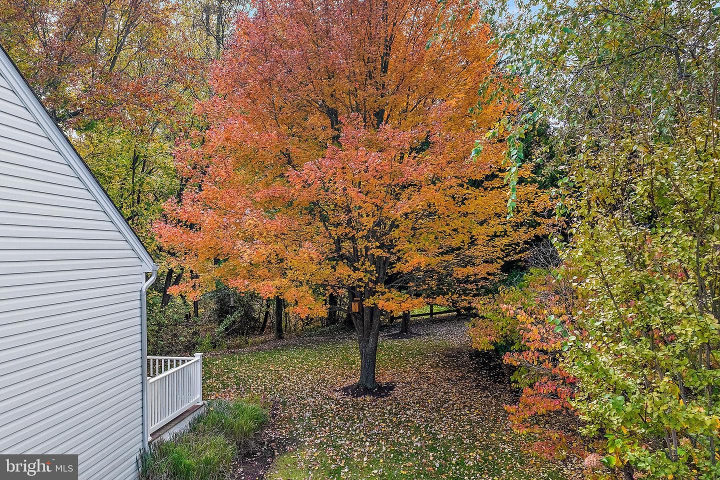 1208 Darlow Place photo 46