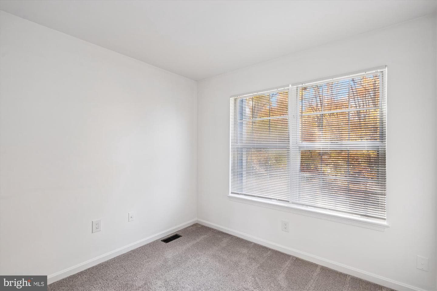 986 Breakwater Drive photo 15