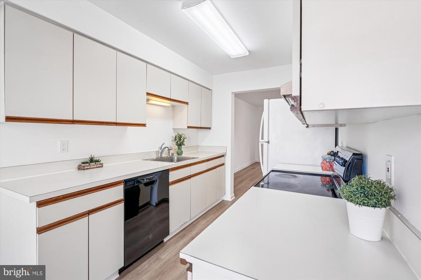 986 Breakwater Drive photo 5