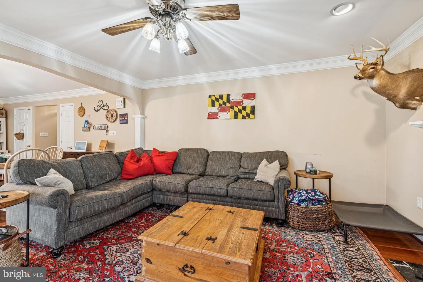 1513 Chase Hill Drive photo 19