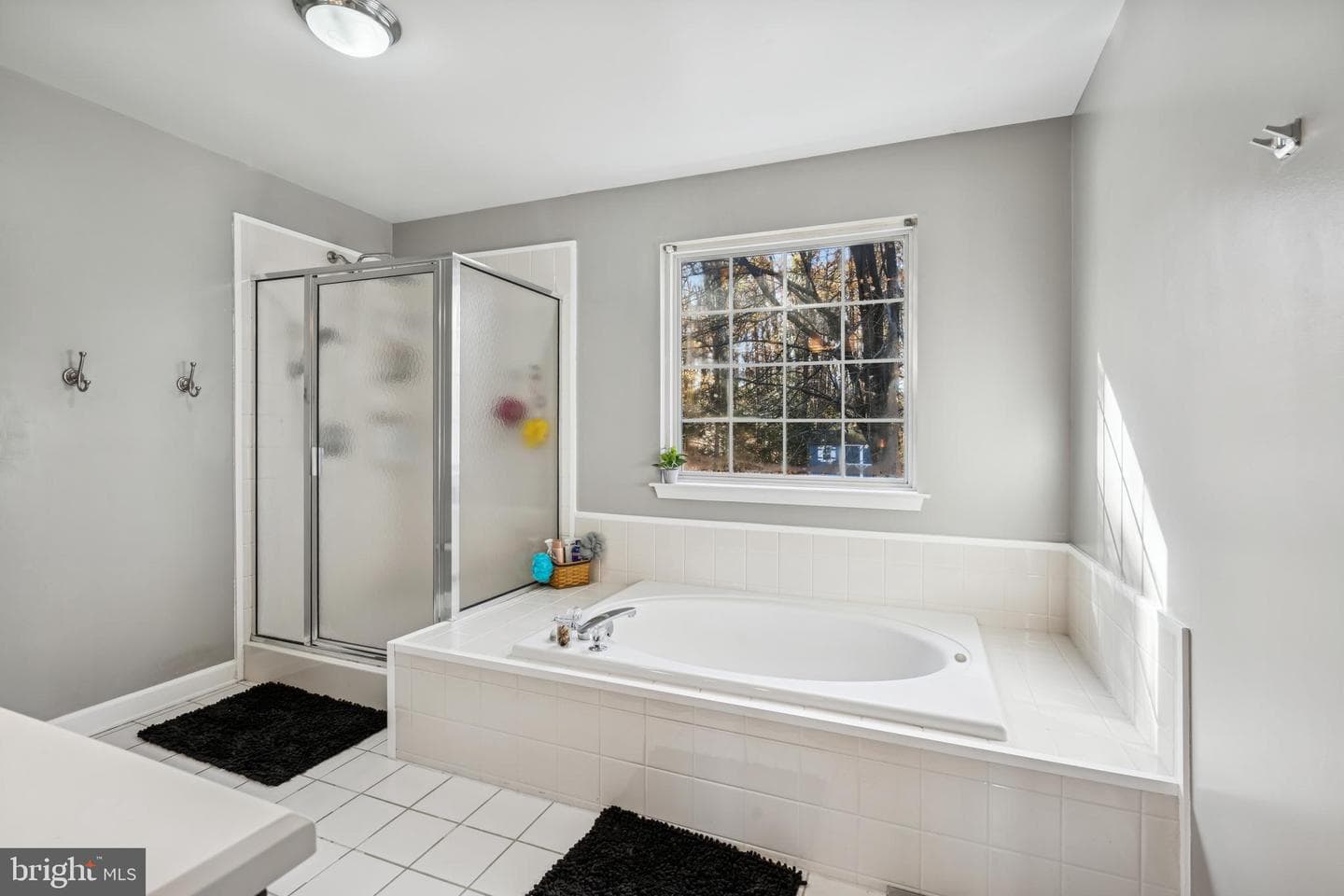1513 Chase Hill Drive photo 31