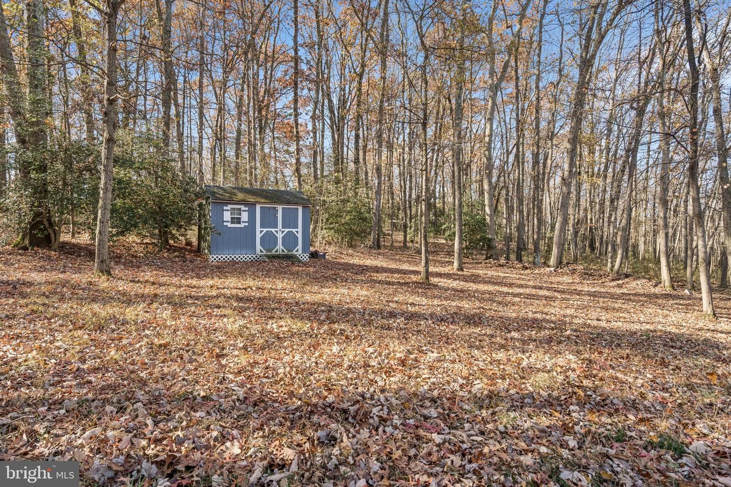 1513 Chase Hill Drive photo 41