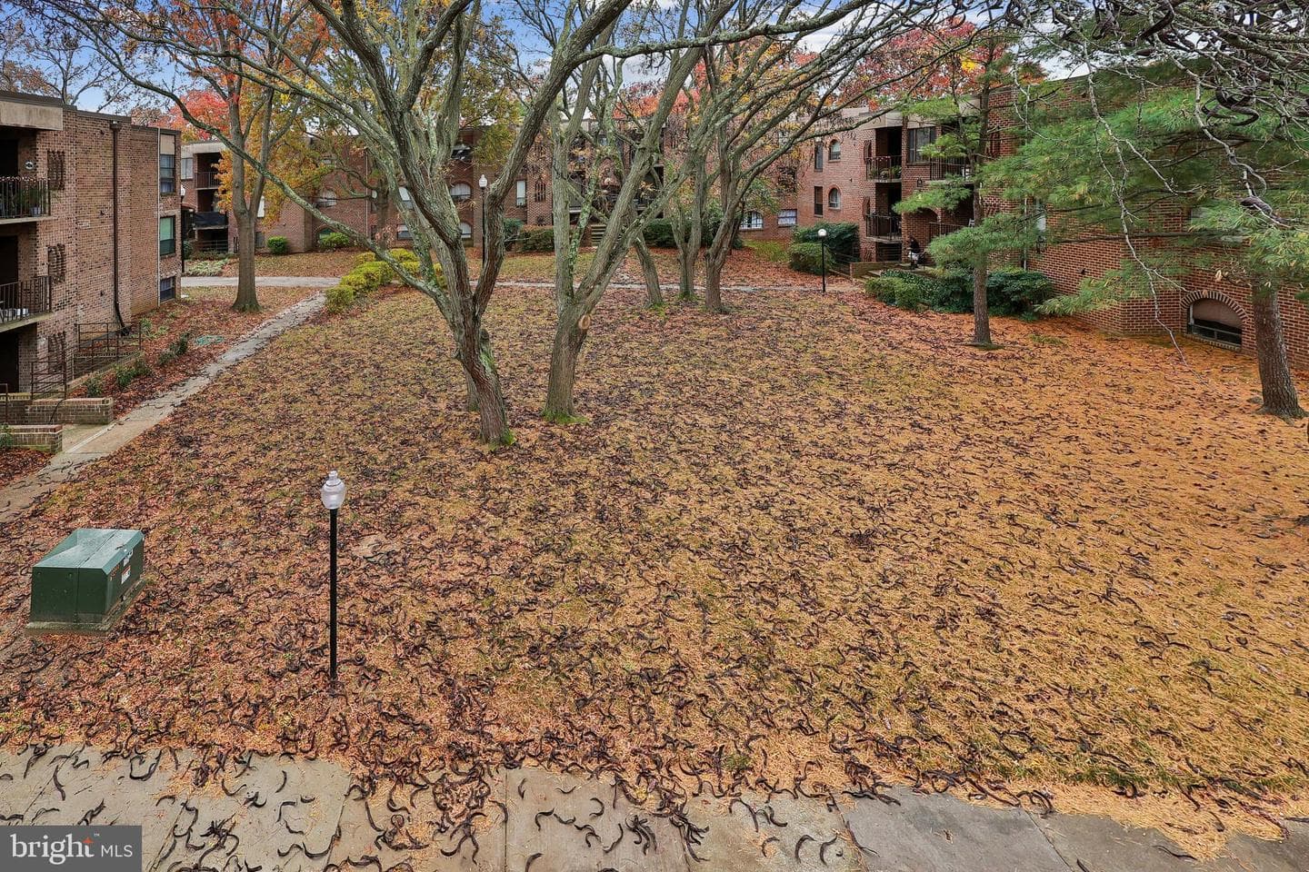 10 Silverwood Circle #10 photo 21
