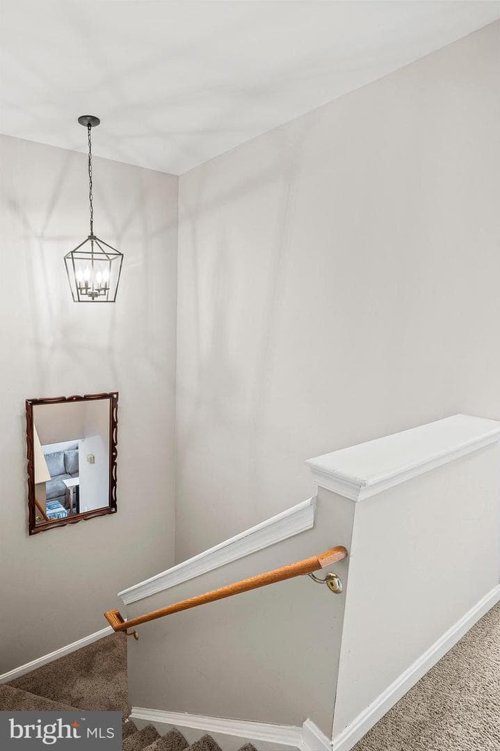 222 Gray Fox Court photo 15