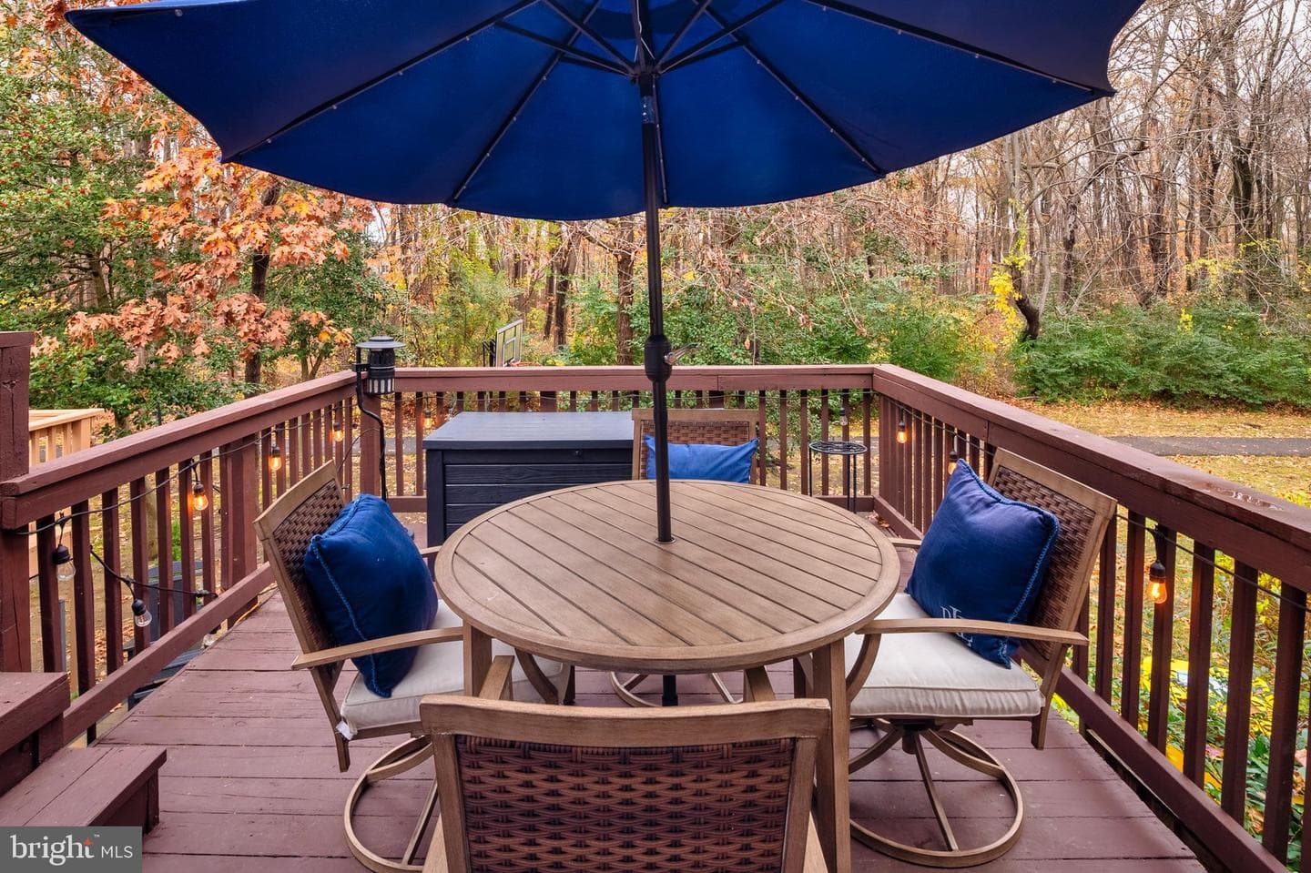 222 Gray Fox Court photo 31