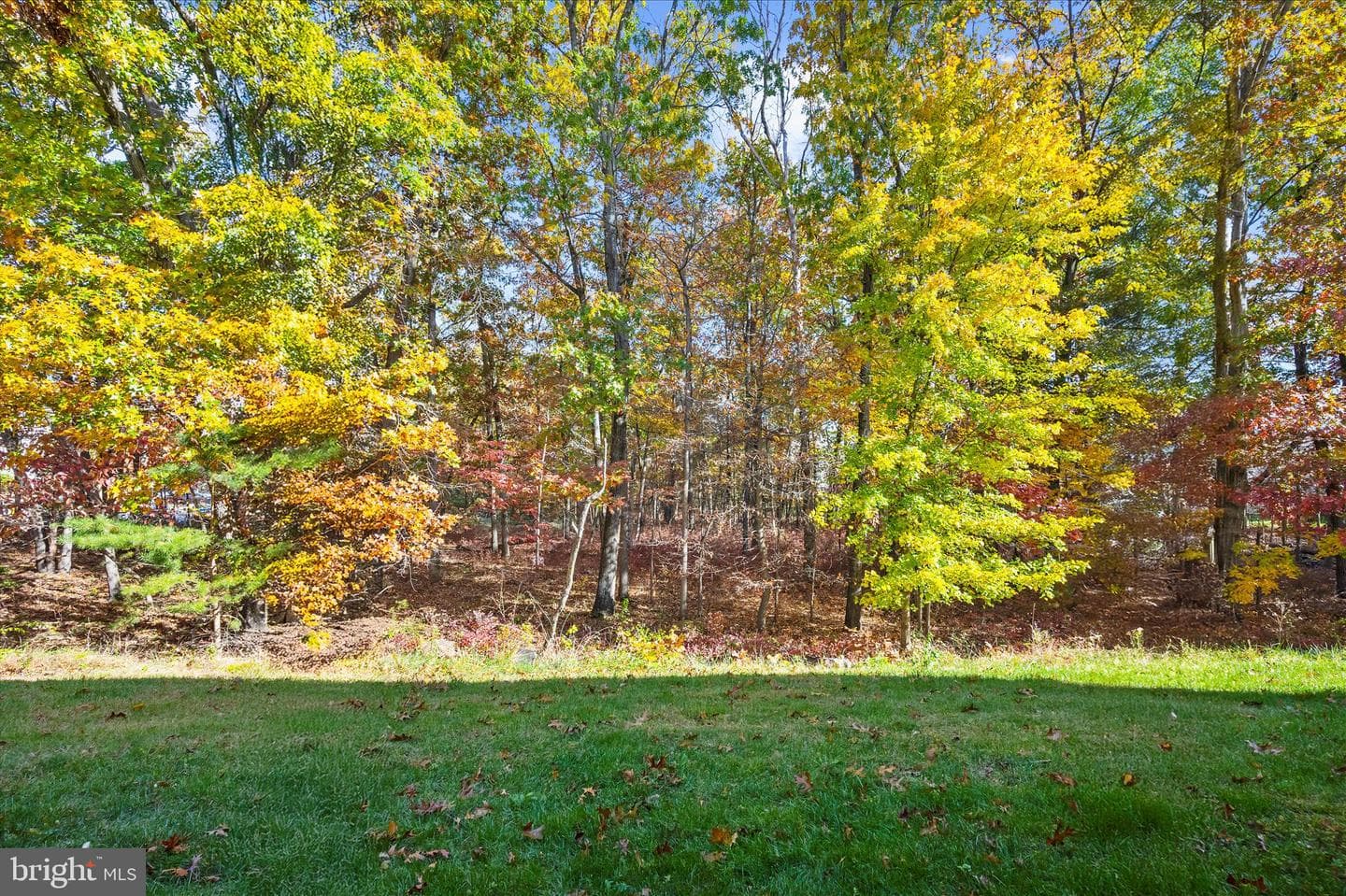 472 Willow Bend Drive photo 39