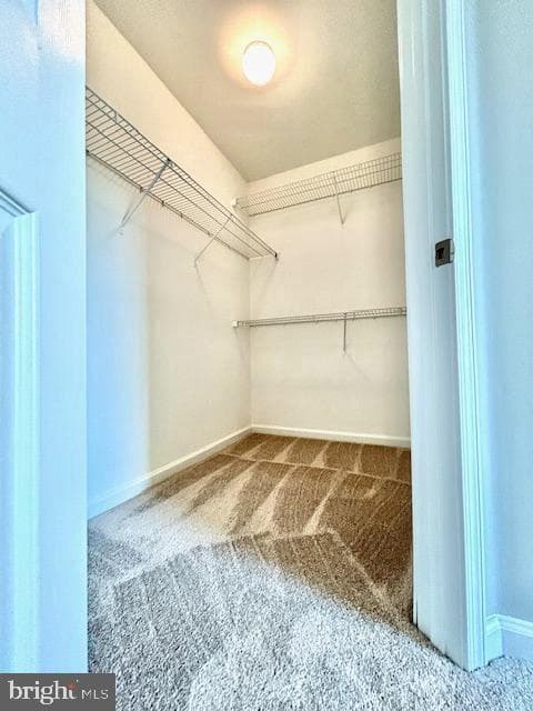 7260 Mockingbird Circle photo 17
