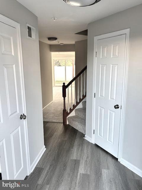 7260 Mockingbird Circle photo 25