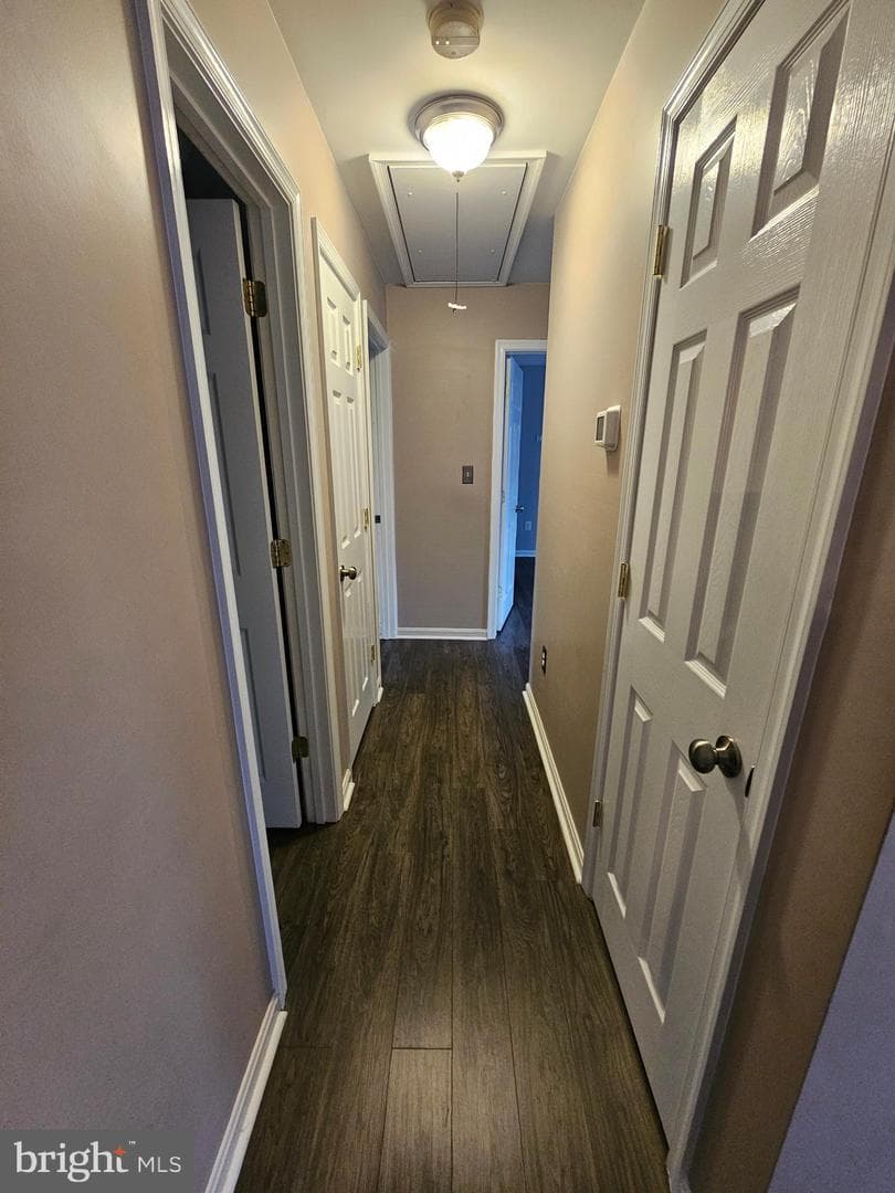 224 Maple Avenue photo 14