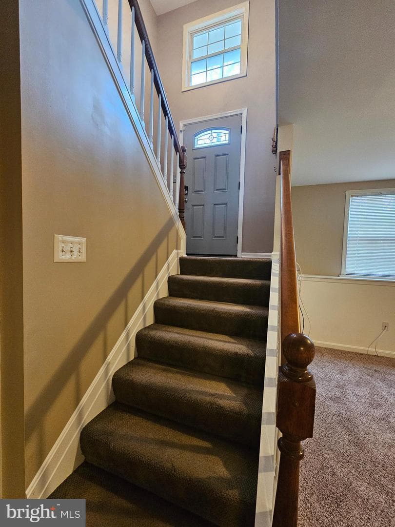 224 Maple Avenue photo 22