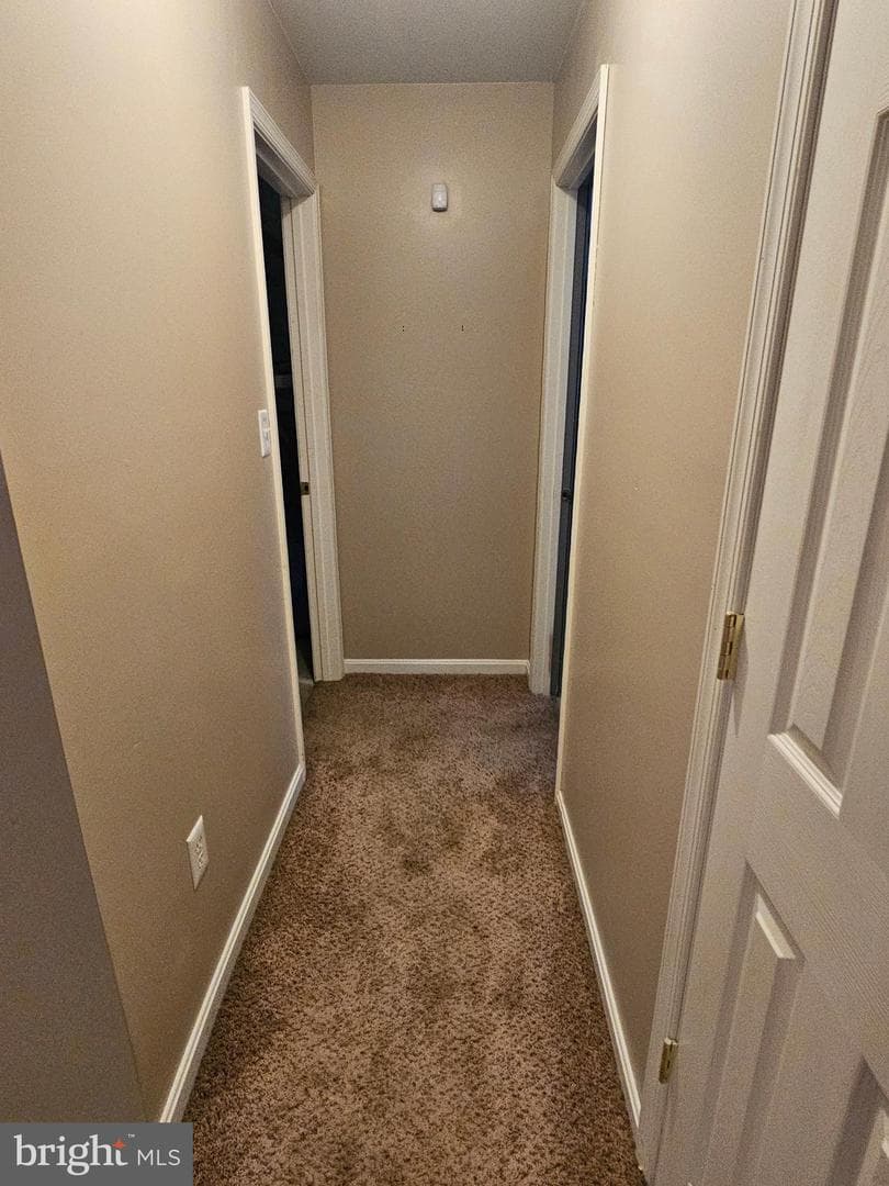 224 Maple Avenue photo 28