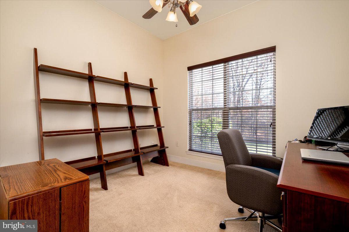 8533 Okeefe Drive photo 25