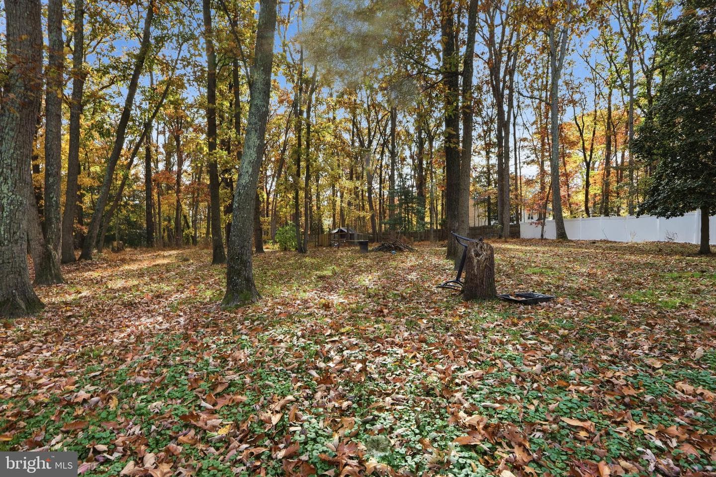 1215 Holmewood Drive photo 31