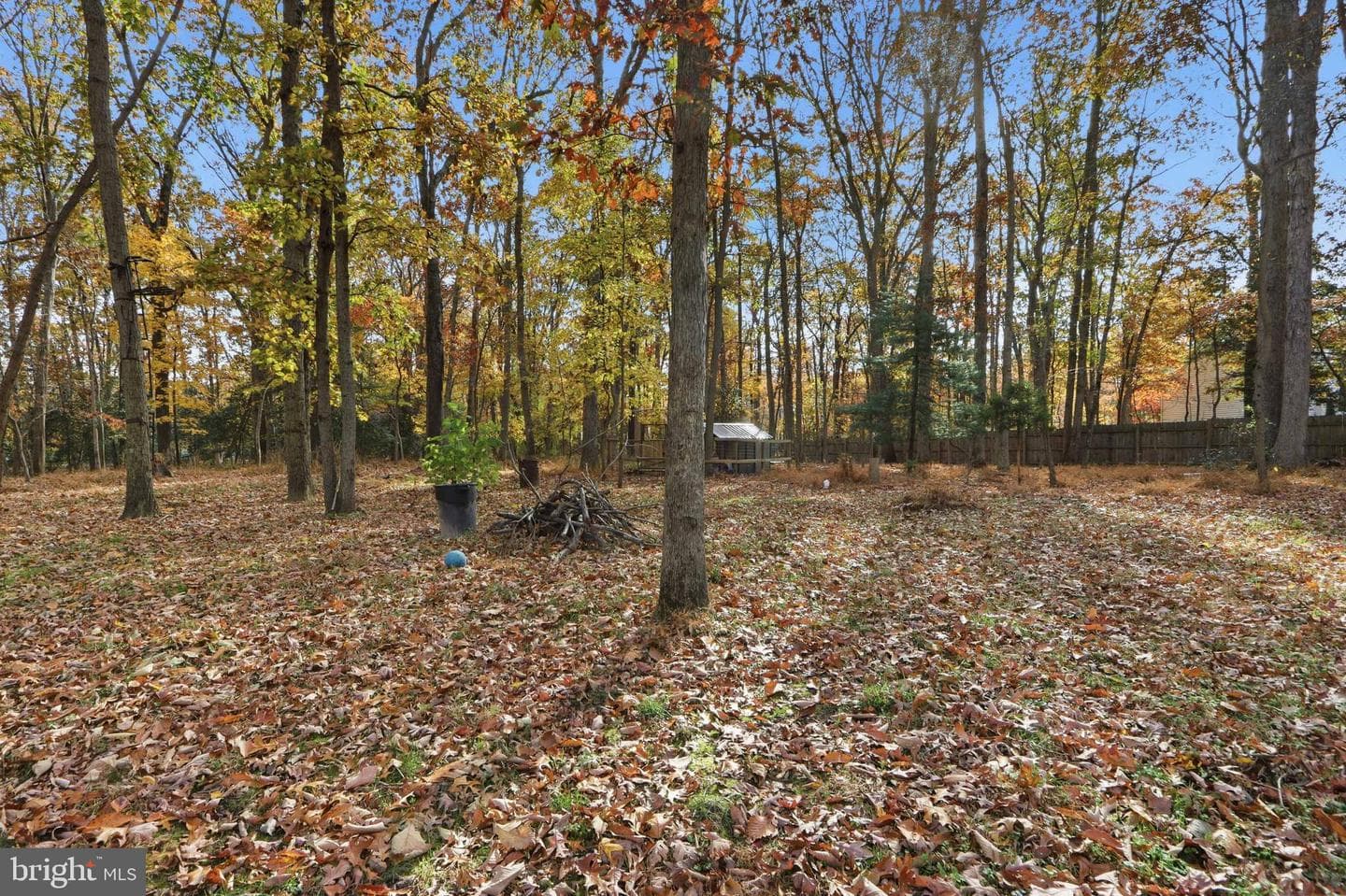 1215 Holmewood Drive photo 35