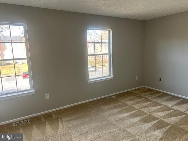 323 Cool Breeze Court photo 11