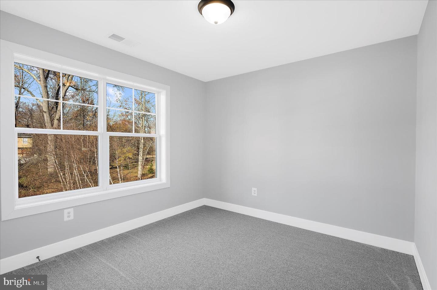 91 Edelton Avenue photo 14