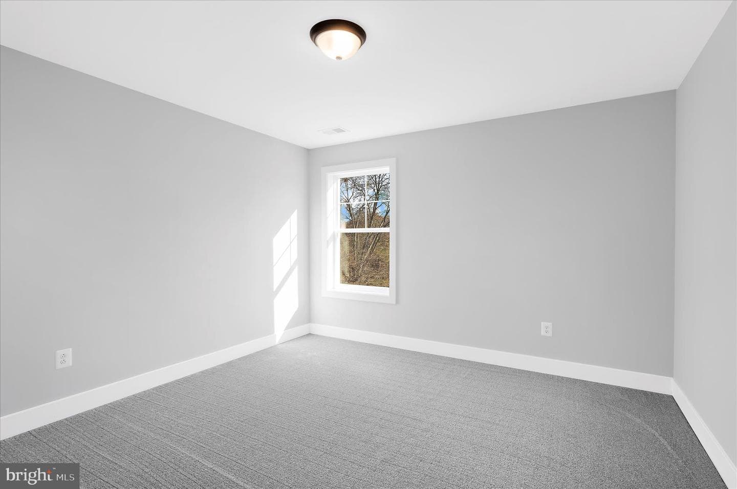 91 Edelton Avenue photo 23